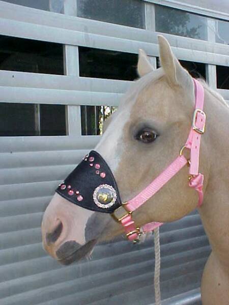 Black Cow Hair on Hide and Pink Halter and Crystals with Barrel Racer Conchos with Pink Swarovski Crystals